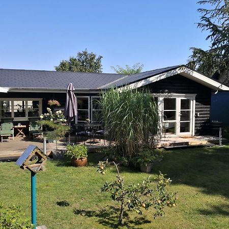 Spurvereden Ved Vandet Greve Exterior photo