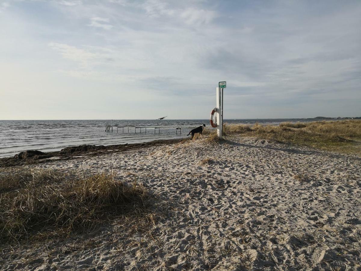 Spurvereden Ved Vandet Greve Exterior photo